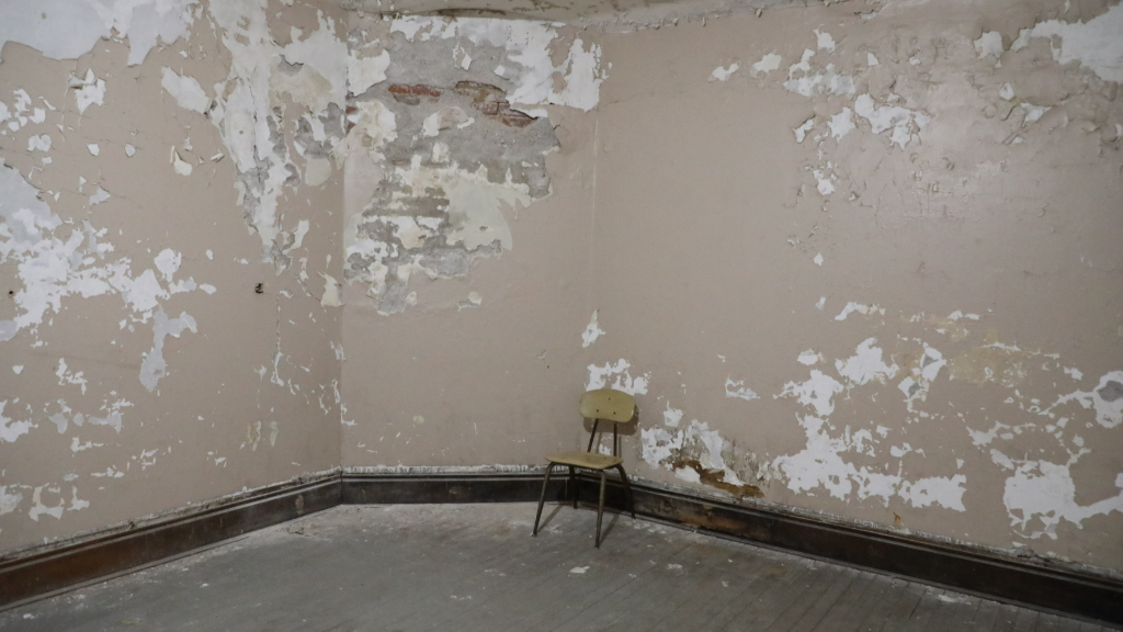 How to Get Rid of Mold and Mildew (Forever!) Anita's Housekeeping